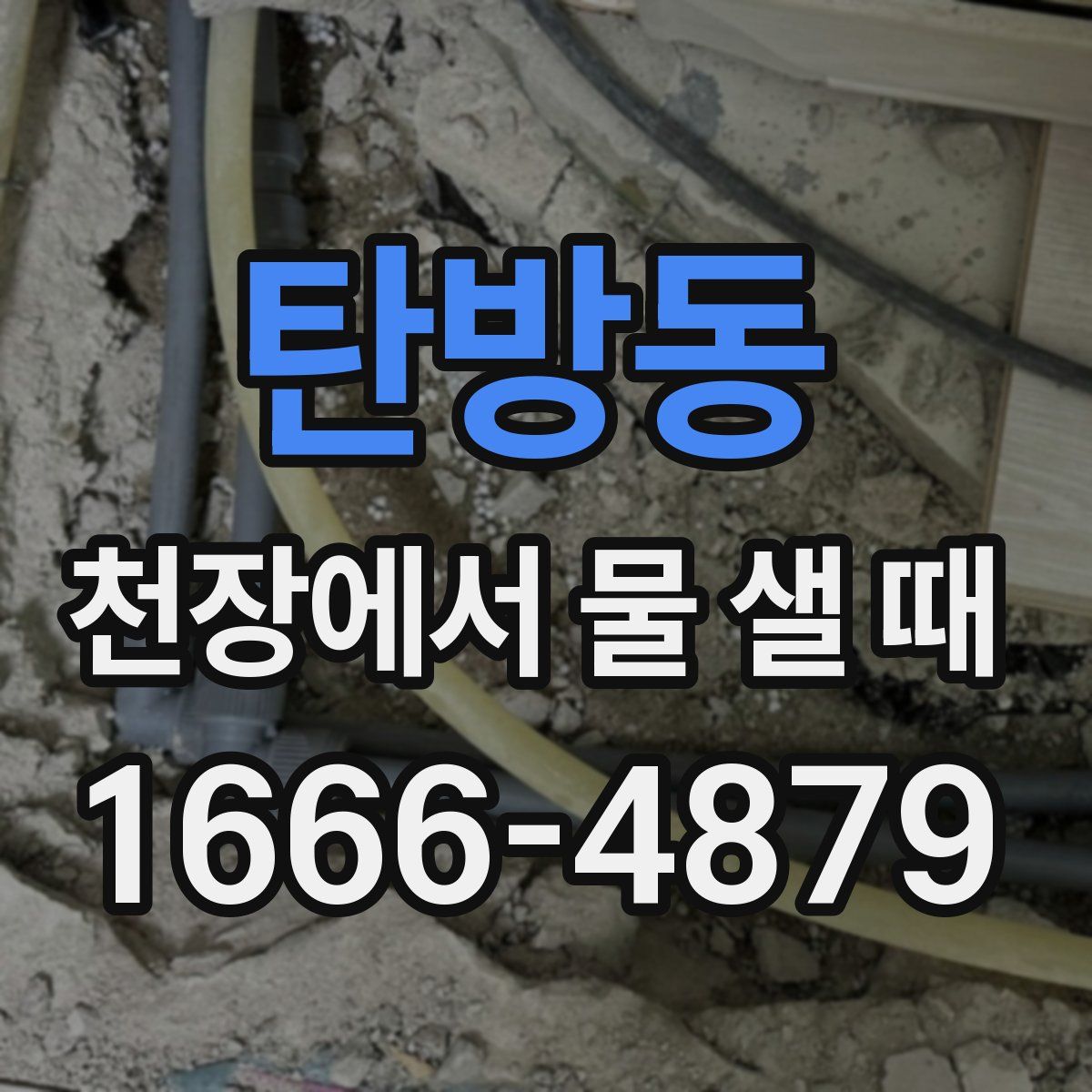 탄방동 천장에서 물 샐 때