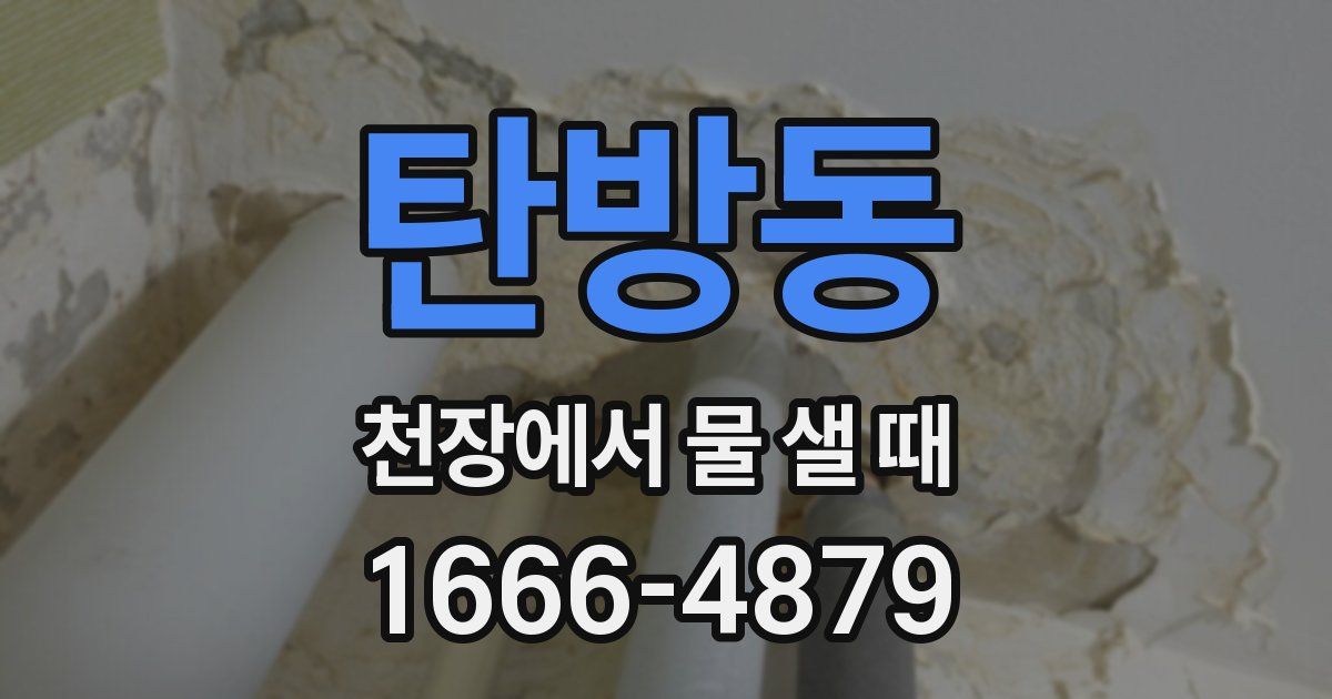 탄방동 천장에서 물 샐 때