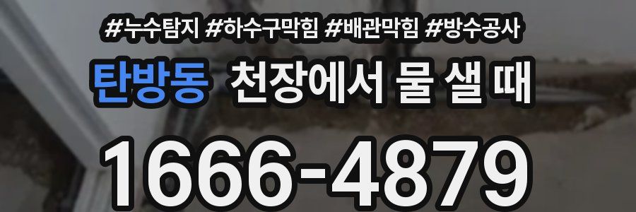 탄방동 천장에서 물 샐 때