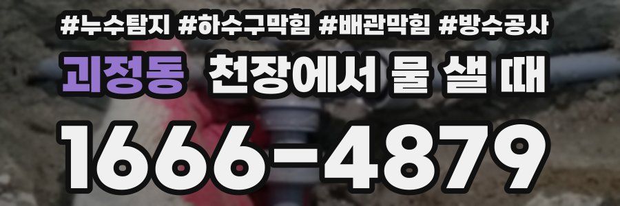 괴정동 천장에서 물 샐 때