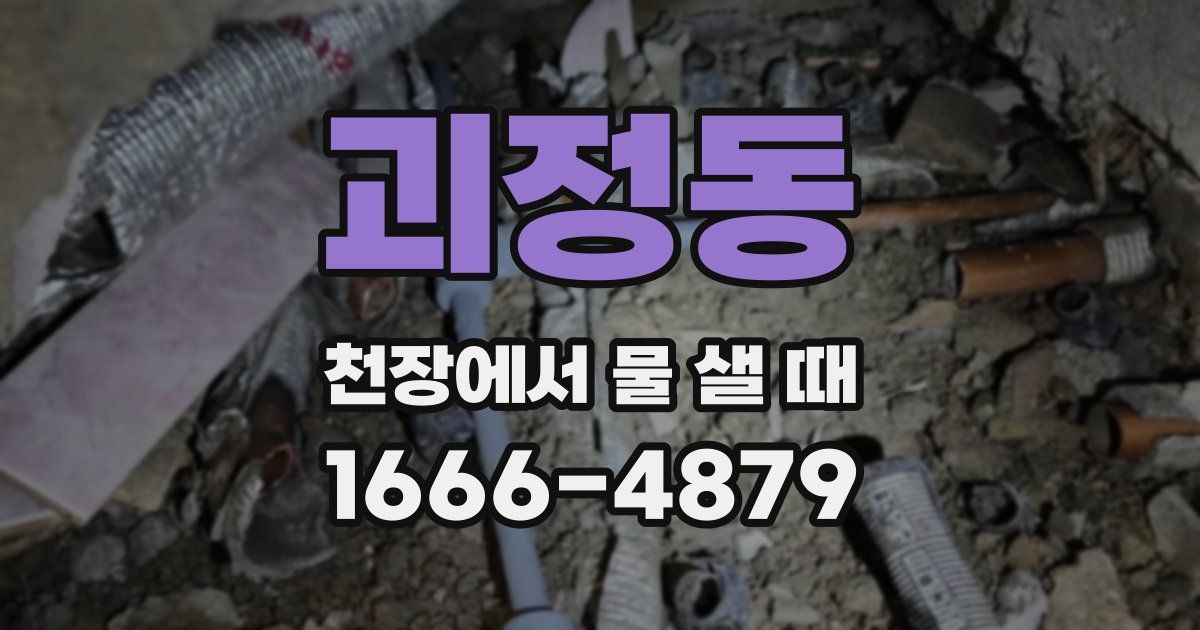 괴정동 천장에서 물 샐 때