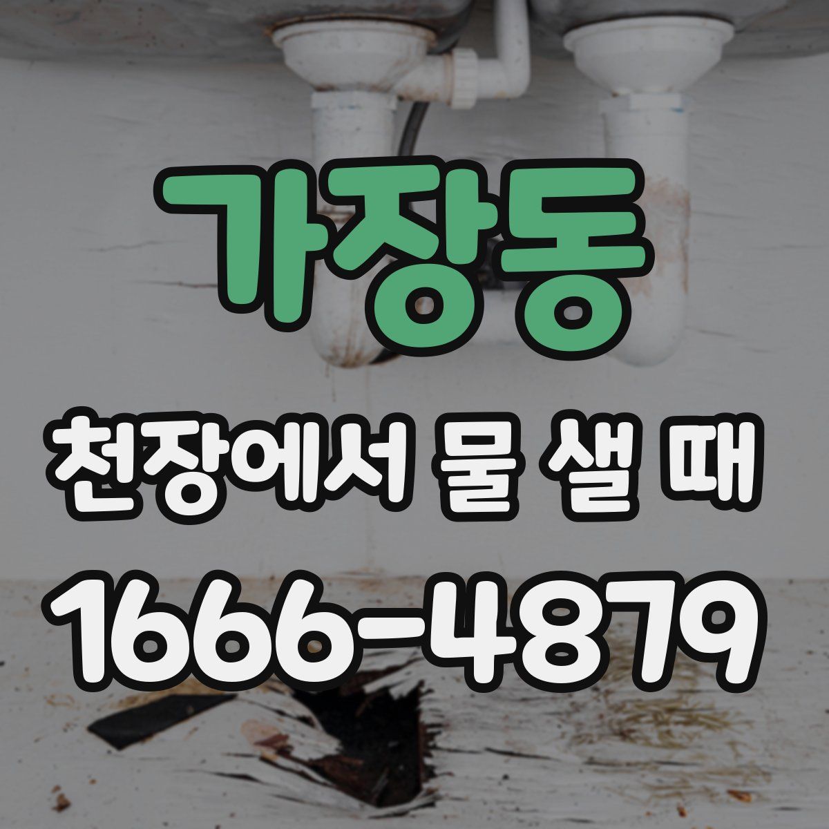 가장동 천장에서 물 샐 때