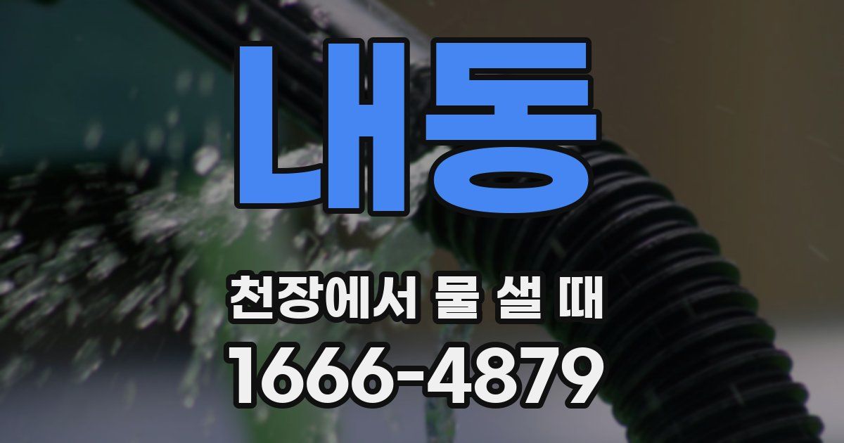 내동 천장에서 물 샐 때
