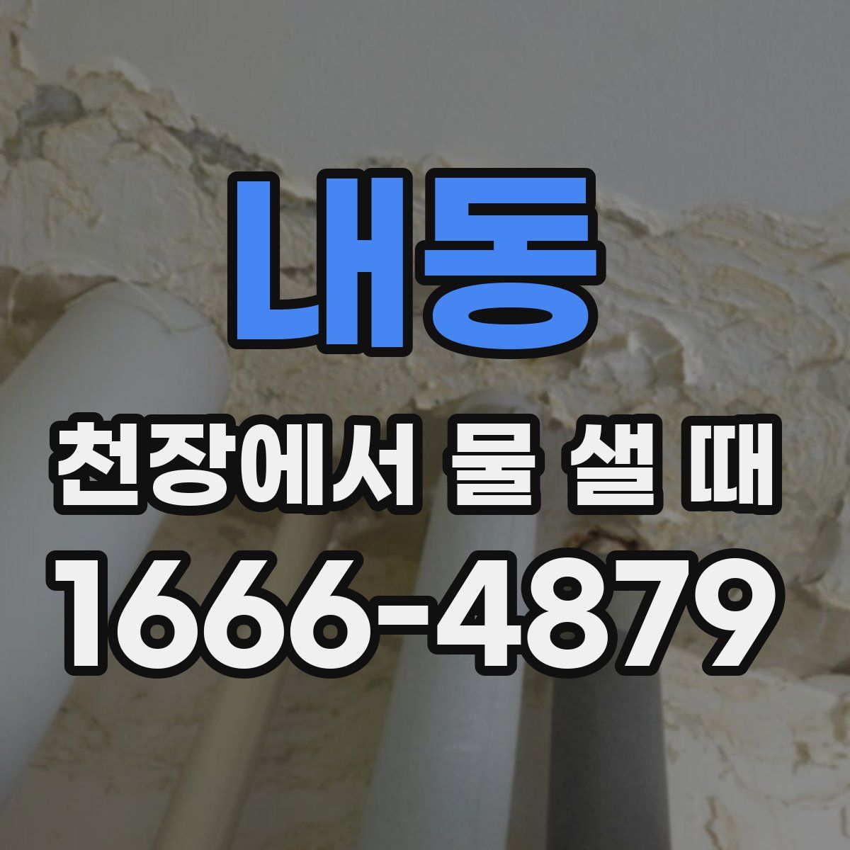 내동 천장에서 물 샐 때