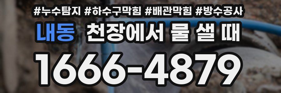 내동 천장에서 물 샐 때