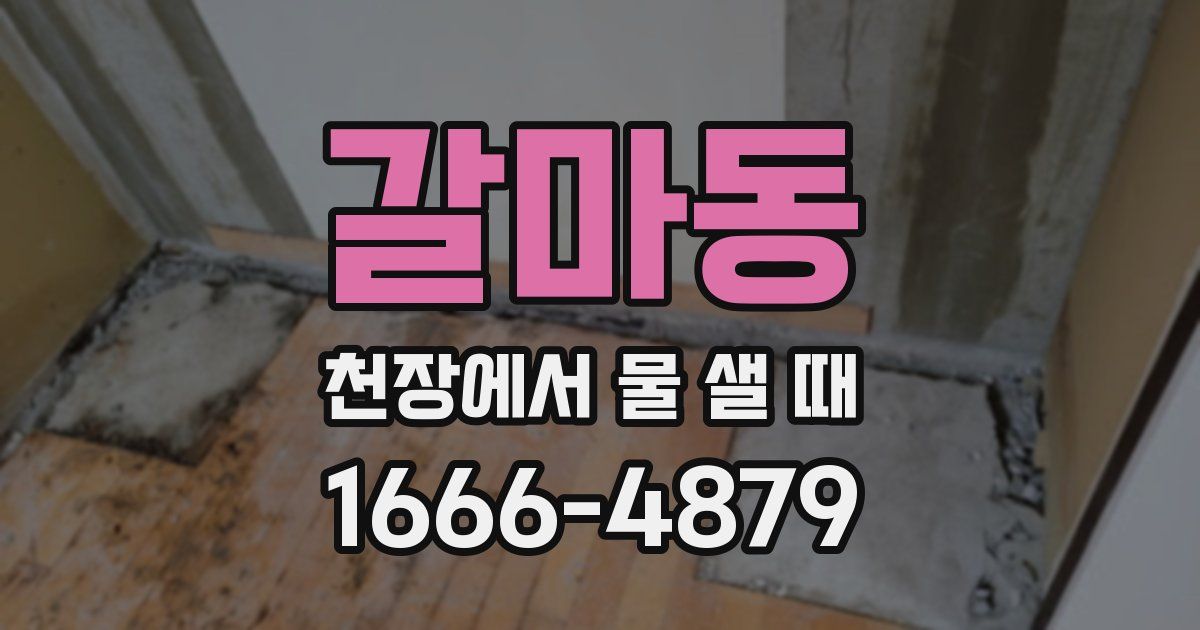 갈마동 천장에서 물 샐 때
