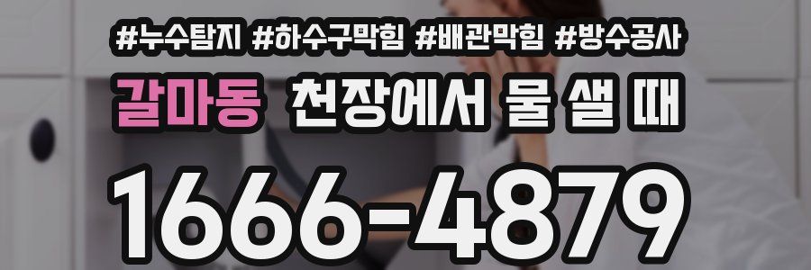 갈마동 천장에서 물 샐 때
