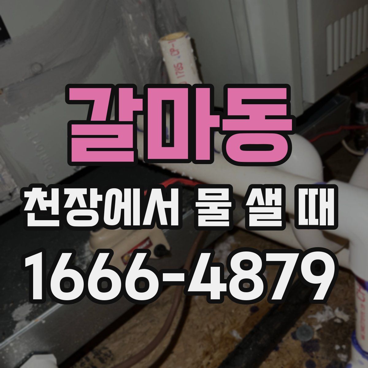 갈마동 천장에서 물 샐 때