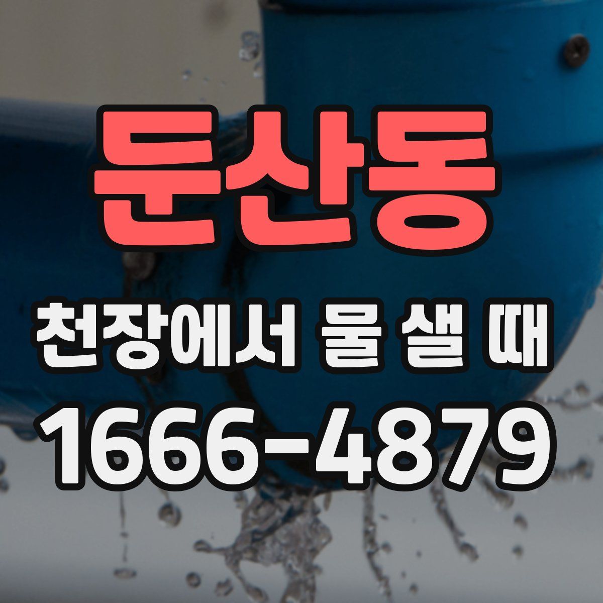 둔산동 천장에서 물 샐 때