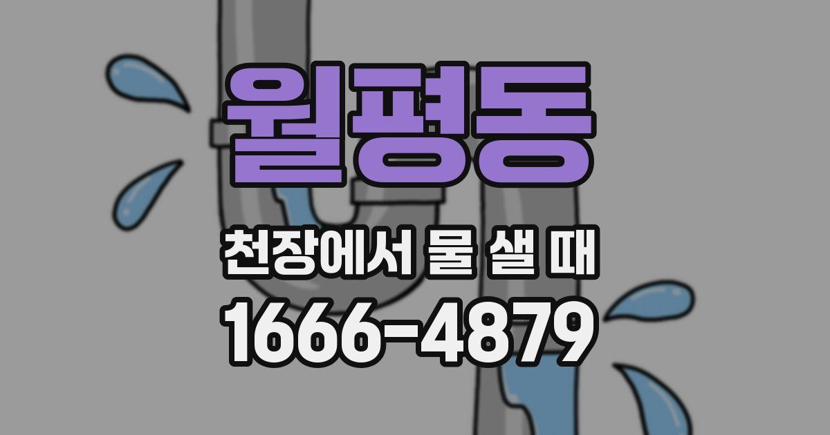 월평동 천장에서 물 샐 때