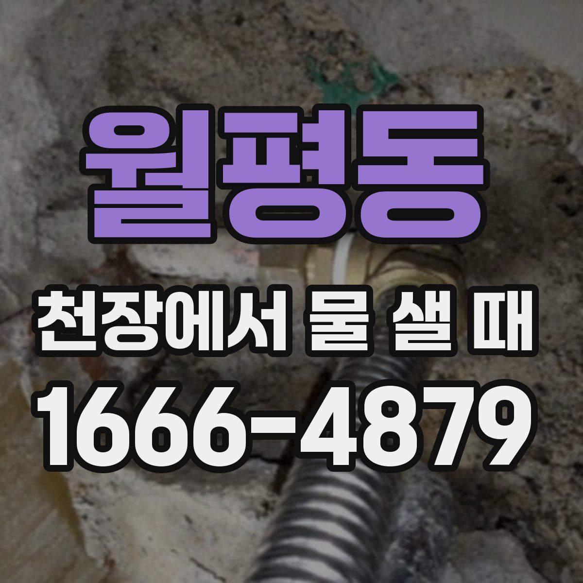 월평동 천장에서 물 샐 때