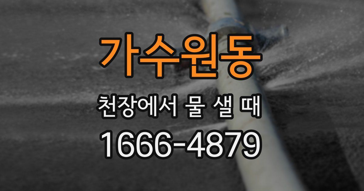 가수원동 천장에서 물 샐 때