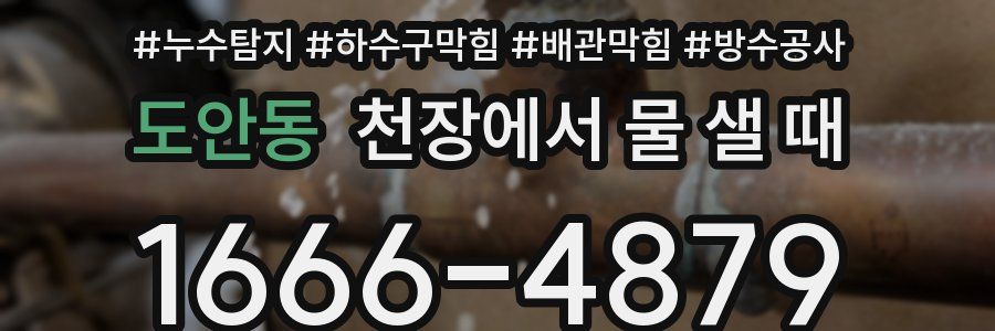 도안동 천장에서 물 샐 때