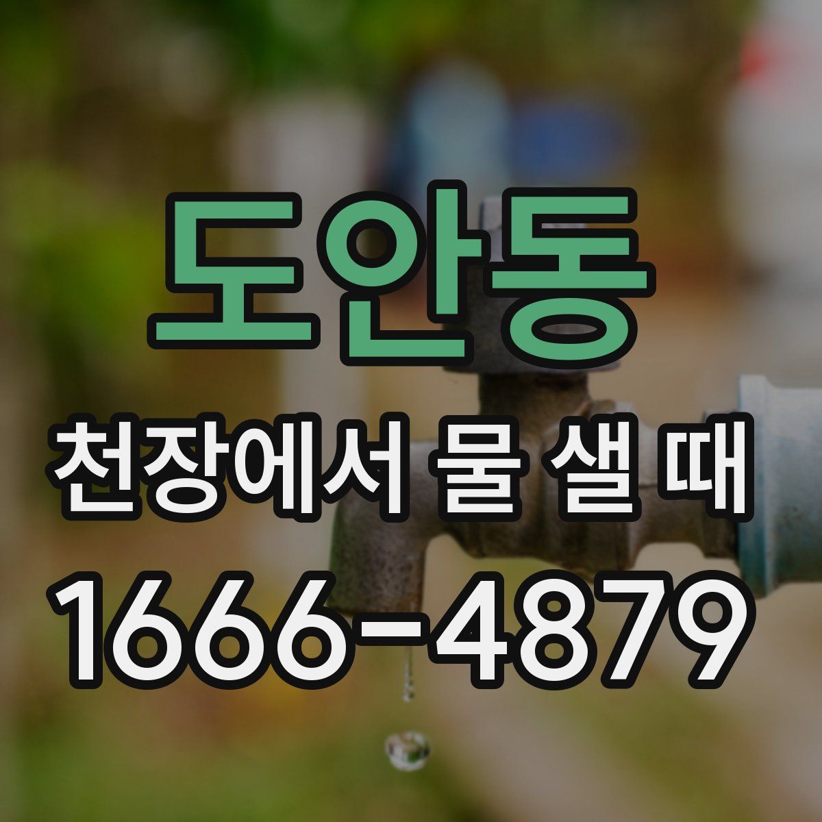 도안동 천장에서 물 샐 때