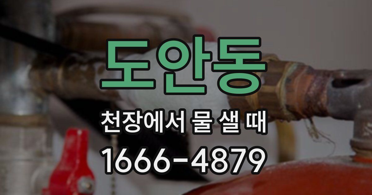 도안동 천장에서 물 샐 때