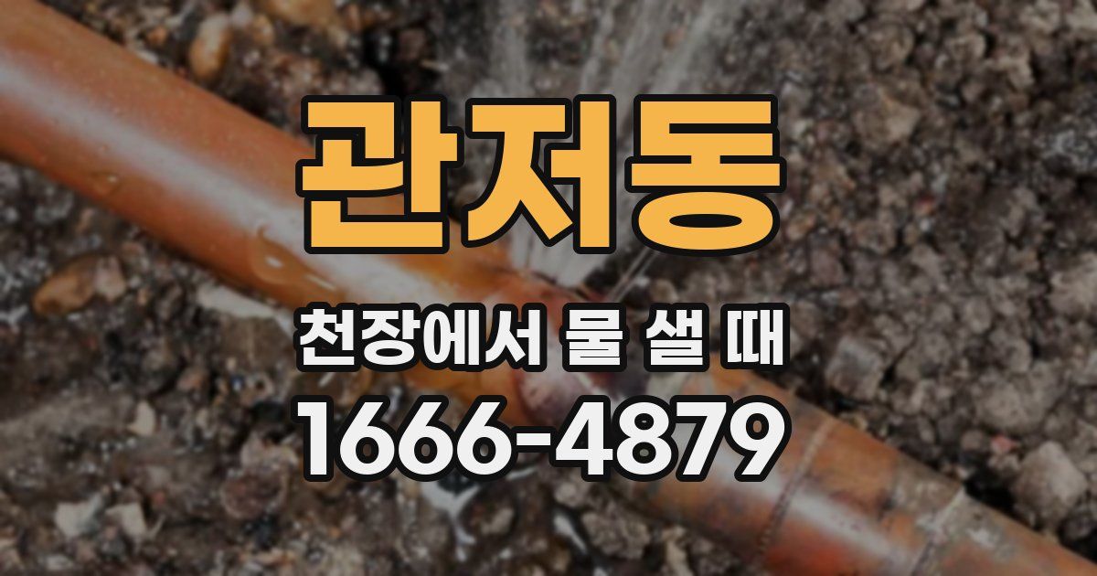 관저동 천장에서 물 샐 때