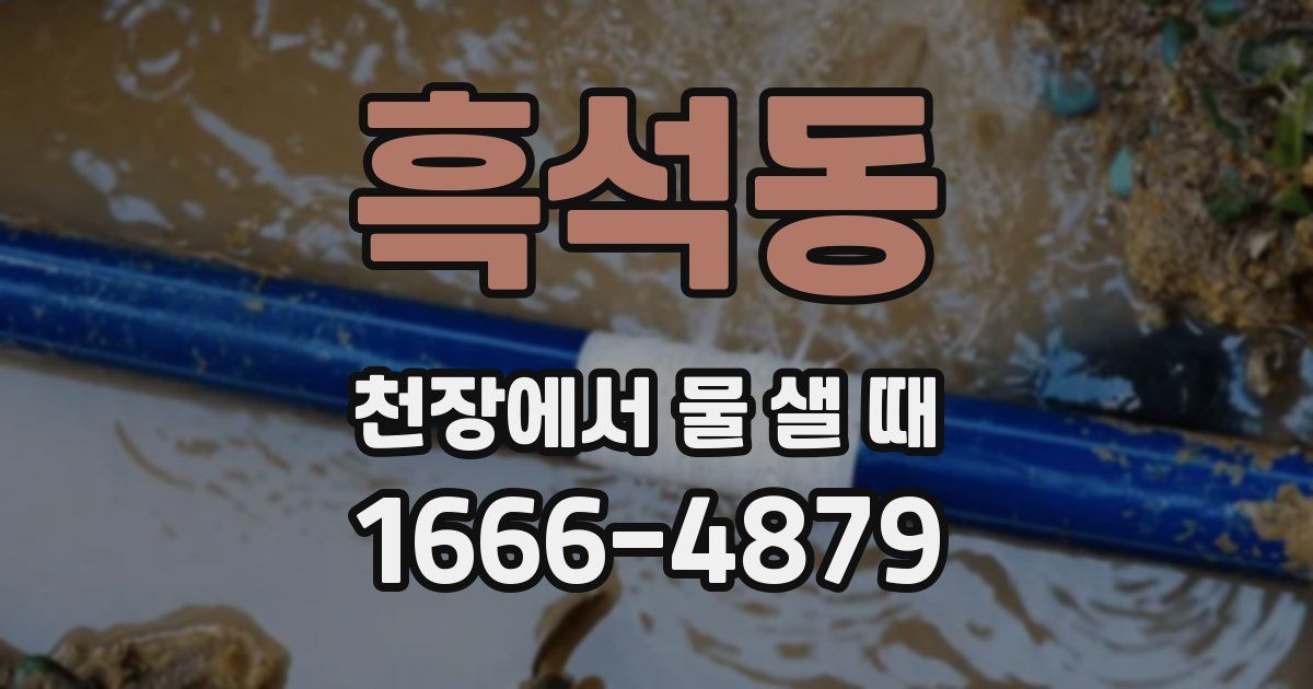 흑석동 천장에서 물 샐 때