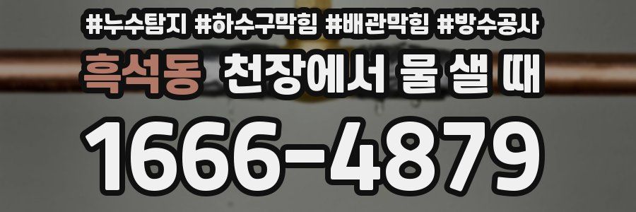 흑석동 천장에서 물 샐 때