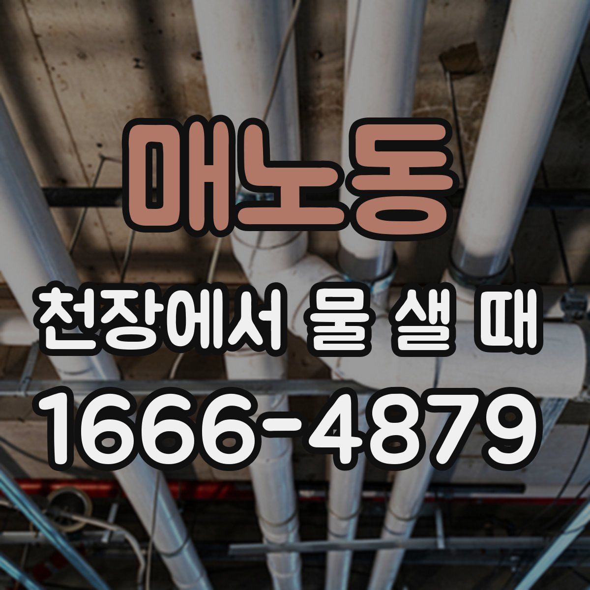 매노동 천장에서 물 샐 때