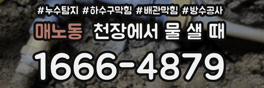 매노동 천장에서 물 샐 때