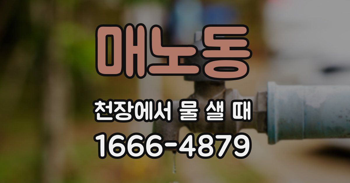 매노동 천장에서 물 샐 때