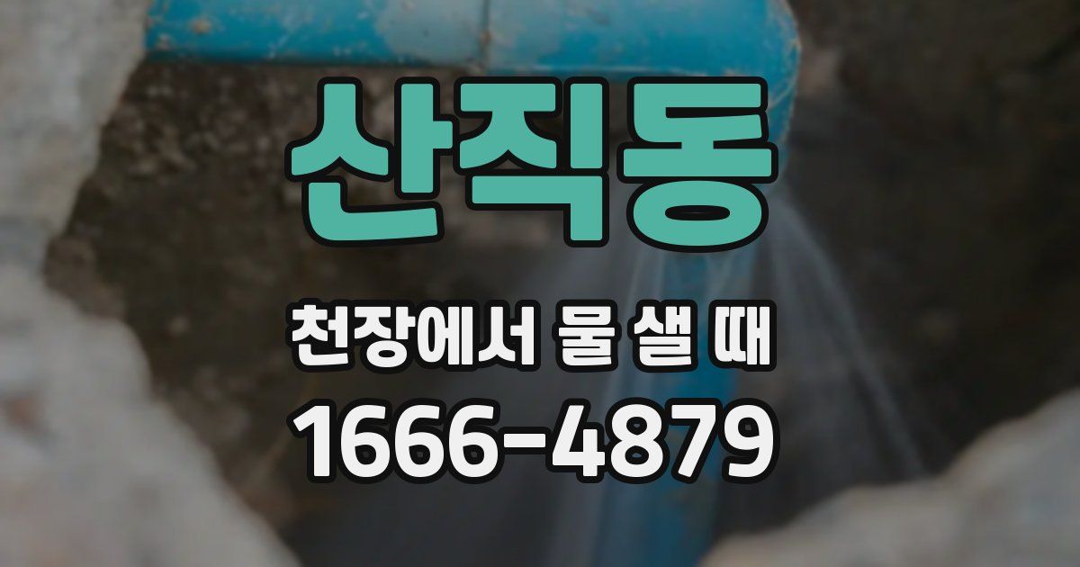 산직동 천장에서 물 샐 때