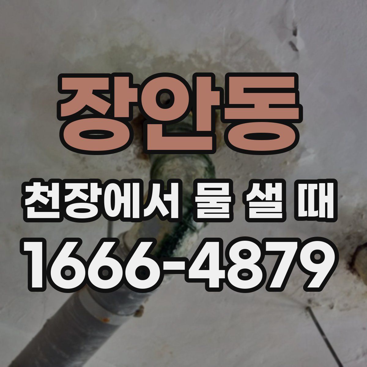 장안동 천장에서 물 샐 때