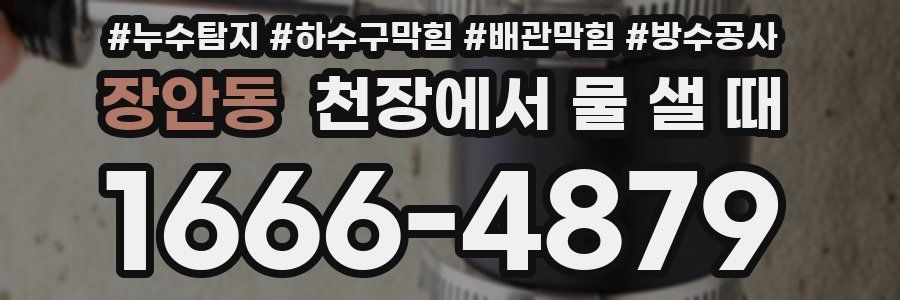 장안동 천장에서 물 샐 때