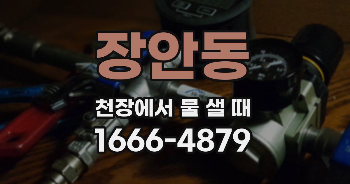 장안동 천장에서 물 샐 때