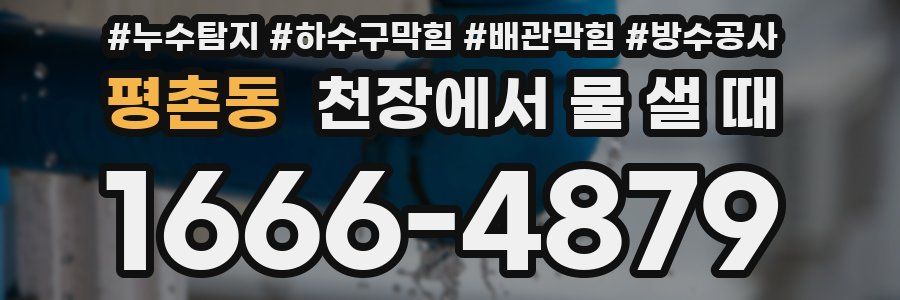 평촌동 천장에서 물 샐 때