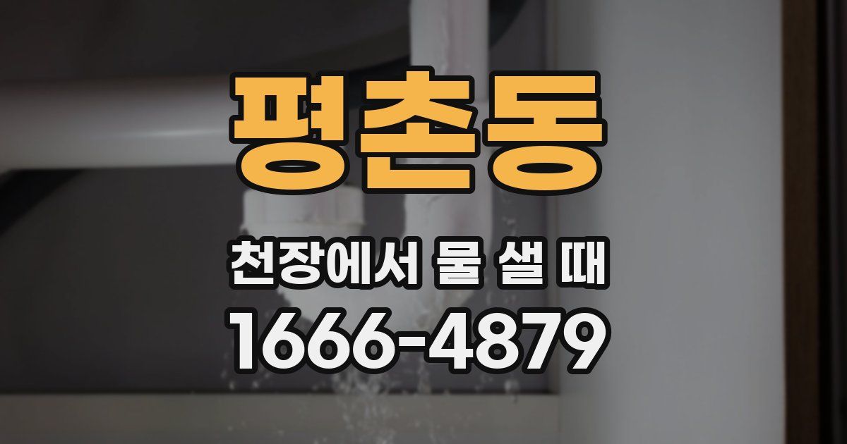 평촌동 천장에서 물 샐 때