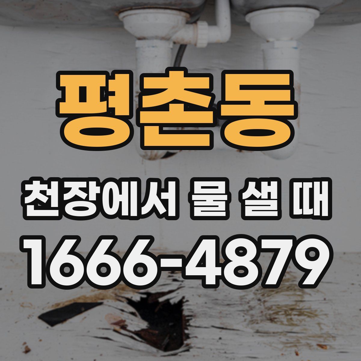 평촌동 천장에서 물 샐 때