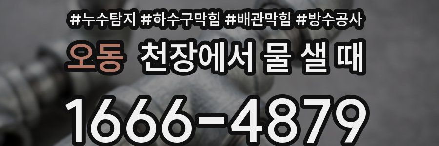 오동 천장에서 물 샐 때
