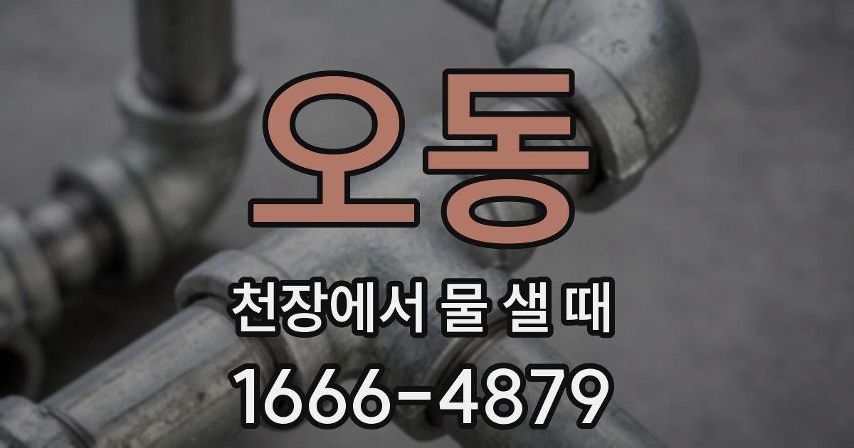 오동 천장에서 물 샐 때