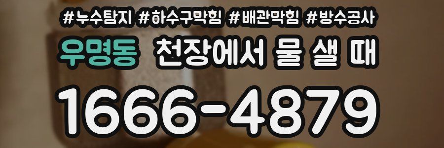 우명동 천장에서 물 샐 때