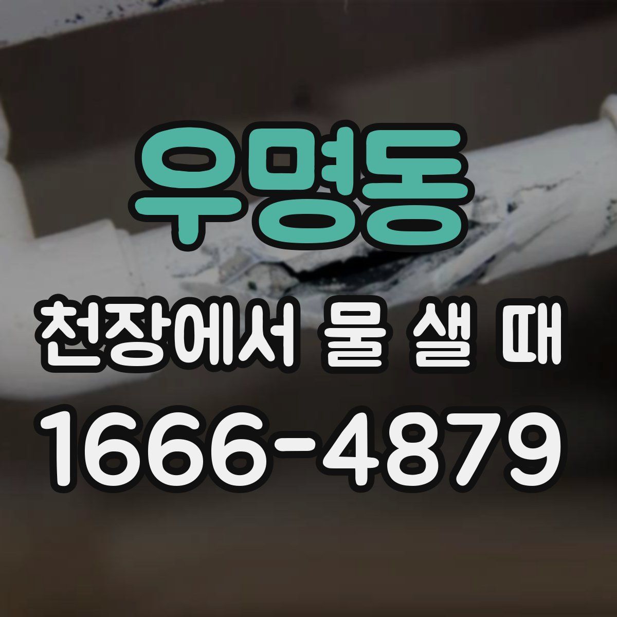우명동 천장에서 물 샐 때