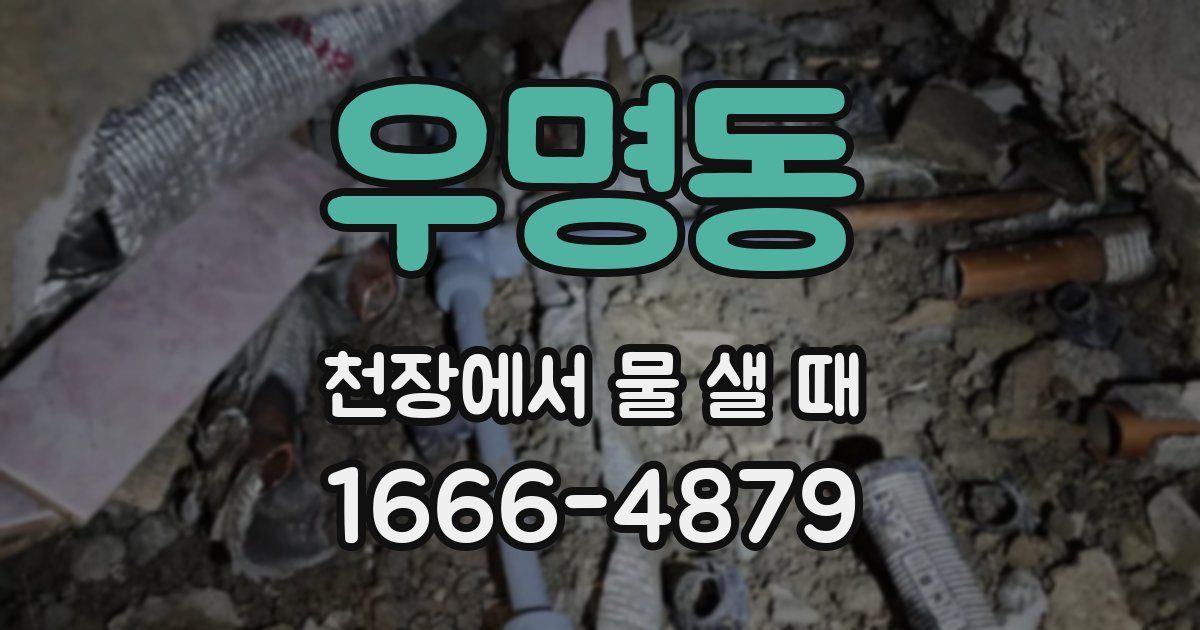 우명동 천장에서 물 샐 때
