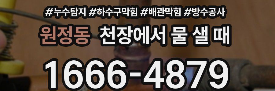원정동 천장에서 물 샐 때
