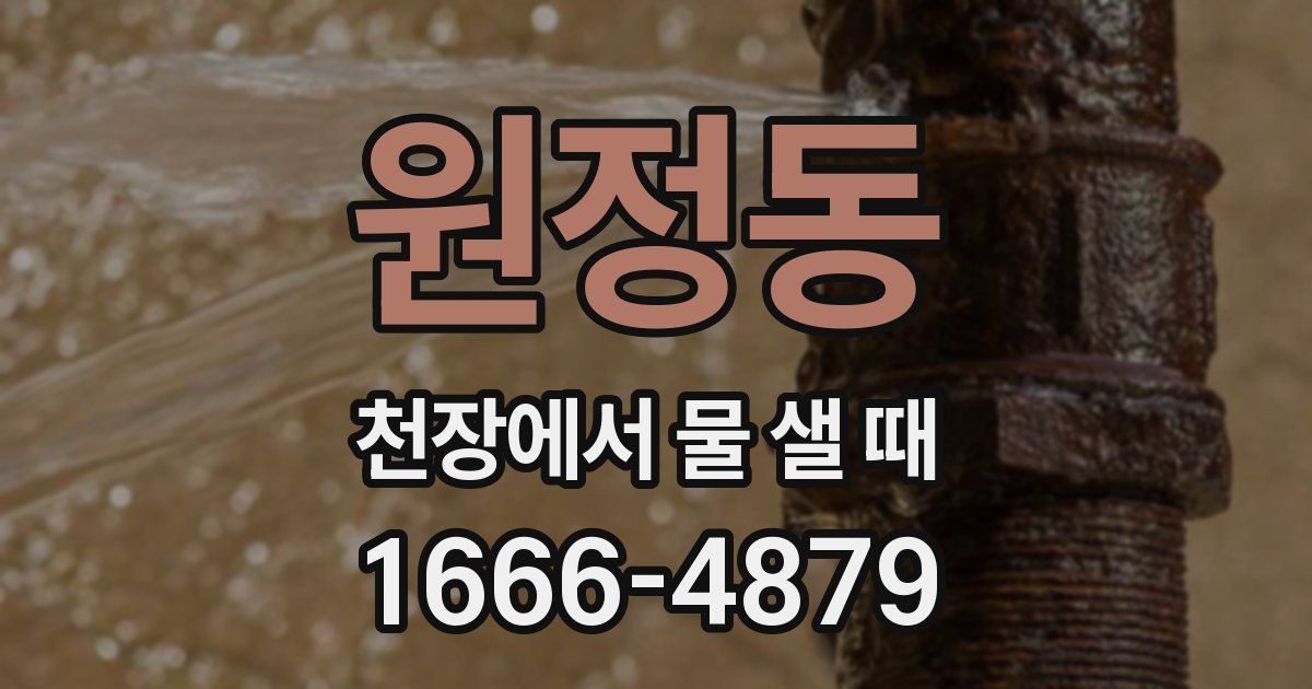 원정동 천장에서 물 샐 때