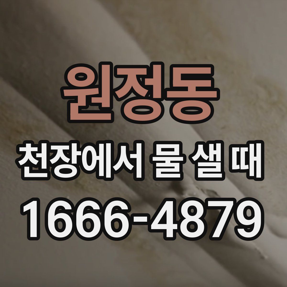 원정동 천장에서 물 샐 때