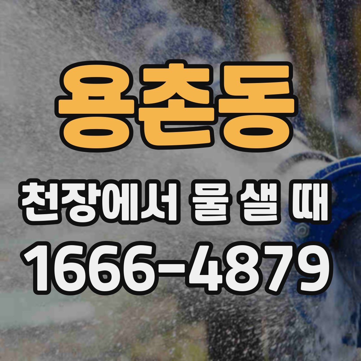 용촌동 천장에서 물 샐 때