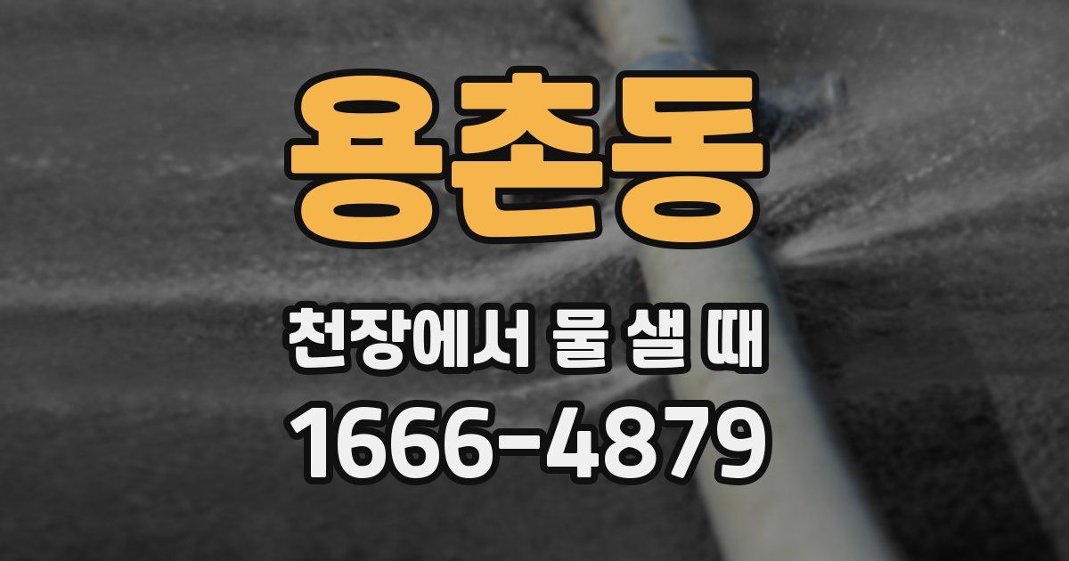 용촌동 천장에서 물 샐 때