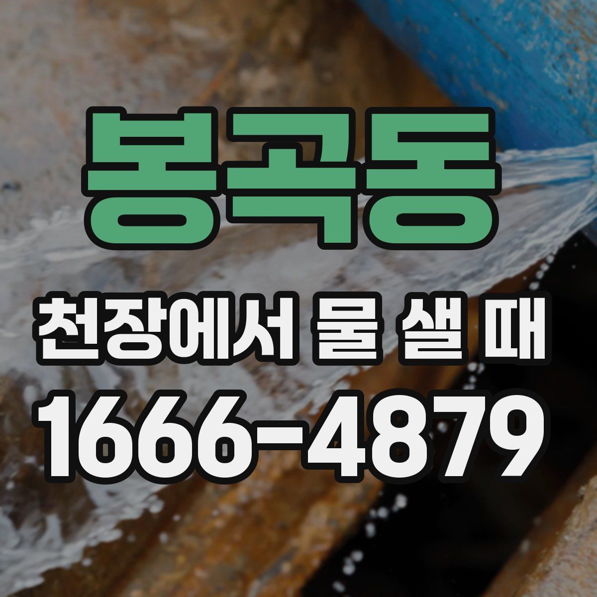 봉곡동 천장에서 물 샐 때