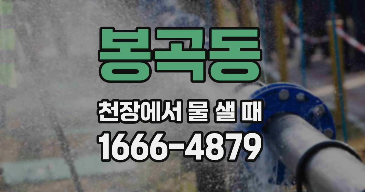 봉곡동 천장에서 물 샐 때