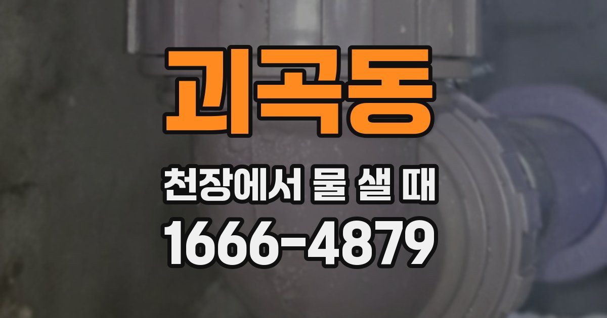 괴곡동 천장에서 물 샐 때
