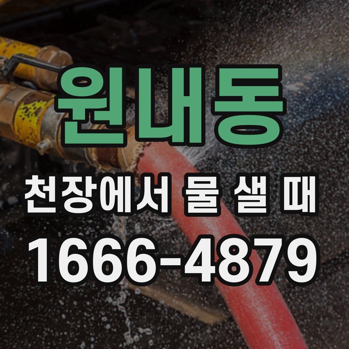 원내동 천장에서 물 샐 때