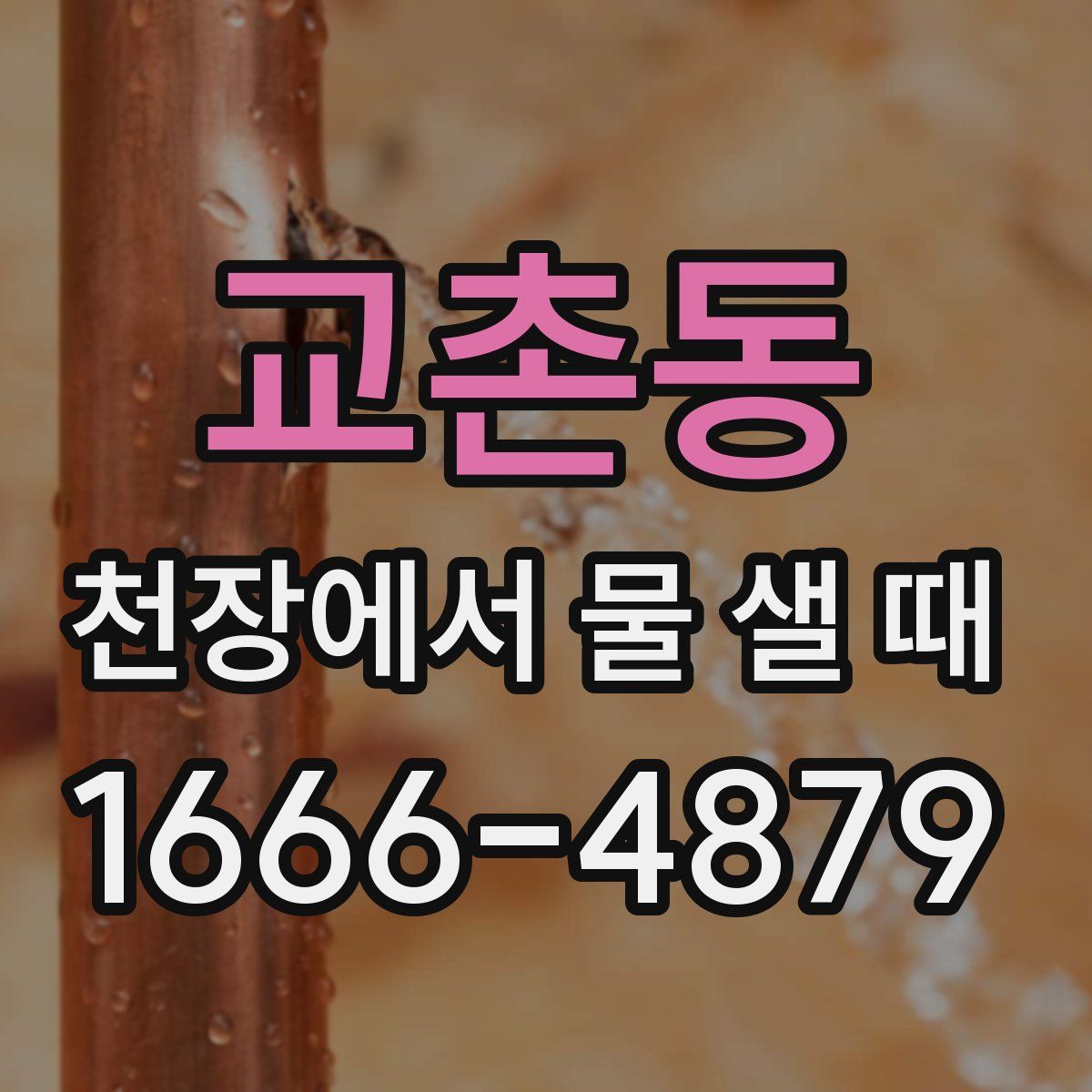교촌동 천장에서 물 샐 때