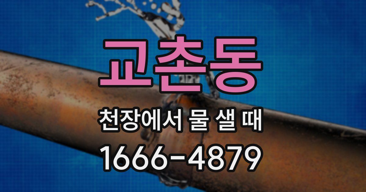교촌동 천장에서 물 샐 때