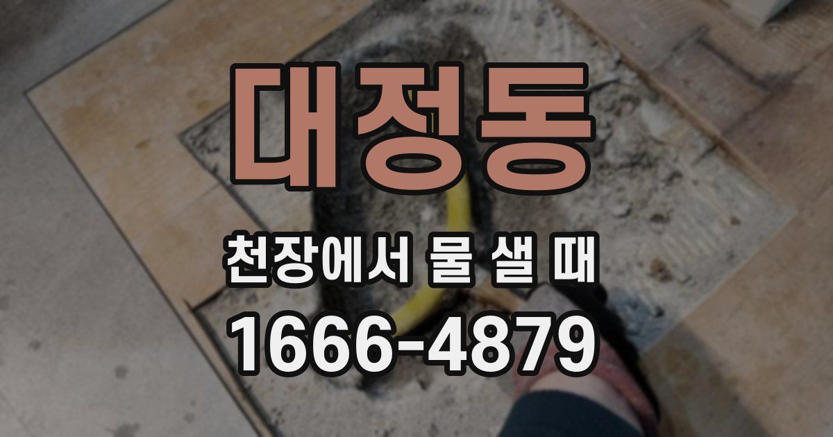 대정동 천장에서 물 샐 때