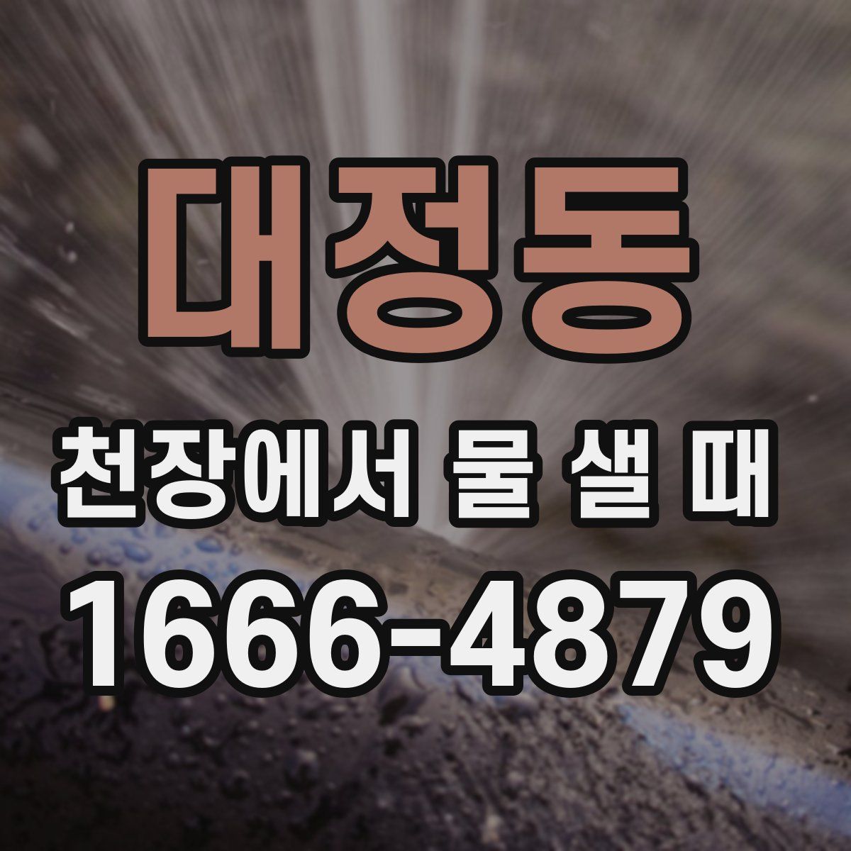 대정동 천장에서 물 샐 때